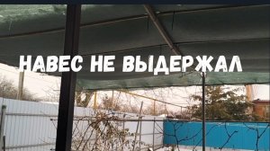 #172❄️Навес прогнулся от льда/Никуда не выйти/Заморозилась морковь/Купить или обойдусь?