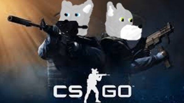 Cs go. Wolf 🤣🤣🤣