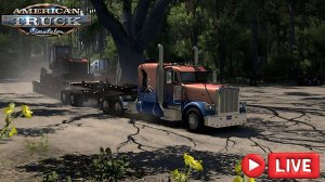 🔴 #ATS (1.57) Катим на Петрухе, ПО Америки, руль PXN V10 !!!