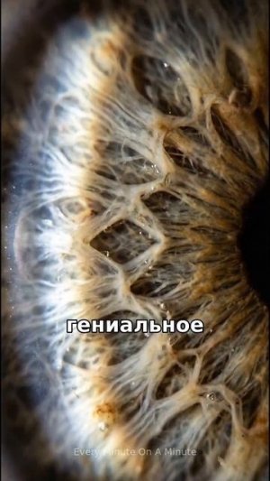 Тайная механика твоего взгляда_ что скрывает радужка_ 👁️⚙️