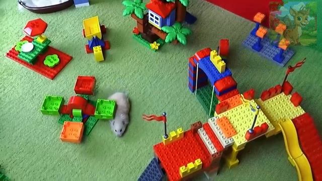 Доктор Хомяк онлайн, плачет и отказывается лечить малышей! смотреть онлайн