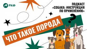 Подкаст «Собака: Инструкция по применению». Выпуск 3 «Что такое порода?»