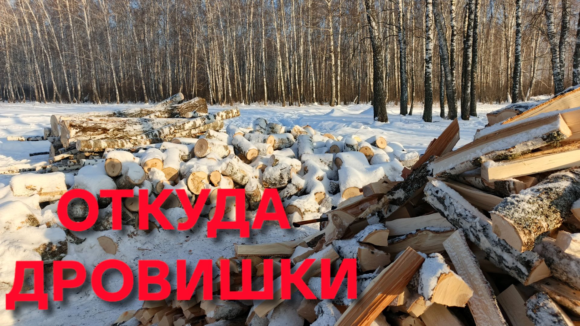 Жизнь в деревне Сибиряка в минус тридцать домой не загонишь