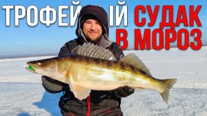 ТРОФЕЙНЫЙ СУДАК В МОРОЗ!!! ОДНА ЛУНКА — РАЗДАЁТ КАК В МАГАЗИНЕ 🐟🔥