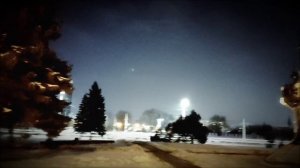 День рождения Э.Т.А. Гофмана, возложение ночной розы