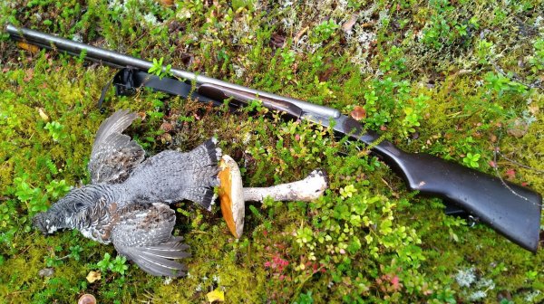 Знакомство с Карелией. Марс атакует. Часть 17