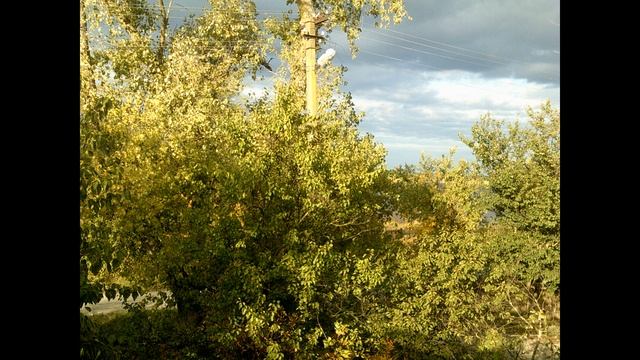 Панорама вид из окна частного дома