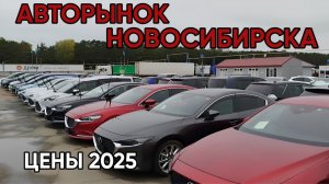 ✅ АВТОРЫНОК НОВОСИБИРСКА. ОСЕНЬ 2025
