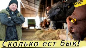 Вы знаете ответ, сколько нужно кормов, чтоб вырастить быка? Омская деревня.