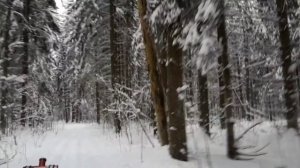 Снегопады нам непочём 🤓✌️👍