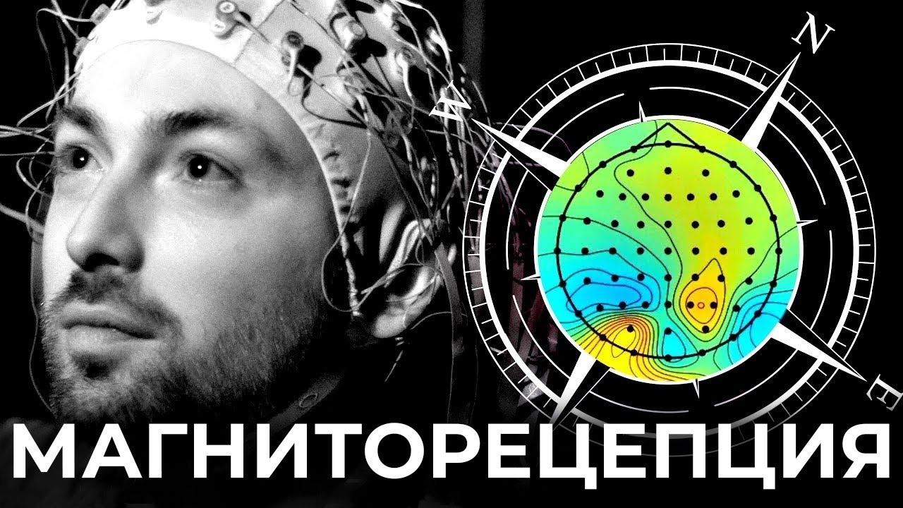 Человек ощущает магнитное поле? [Veritasium]