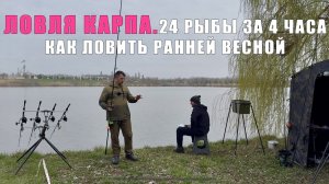 Как ловить ранней весной. Соревнования. 24 рыбы за 4 часа. Карпфишинг 2025