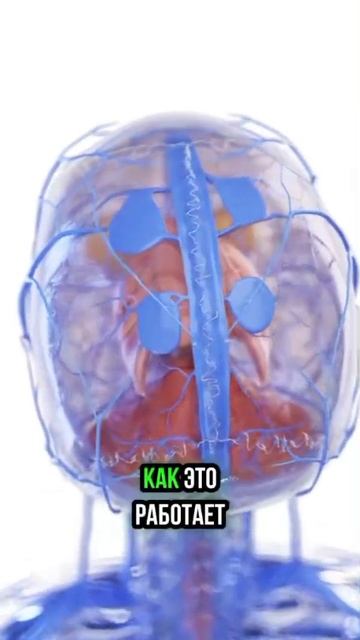 Дыхание левой ноздрей от давления