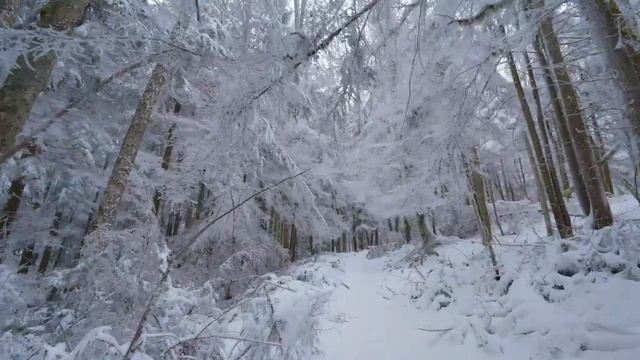 За окнами снег
