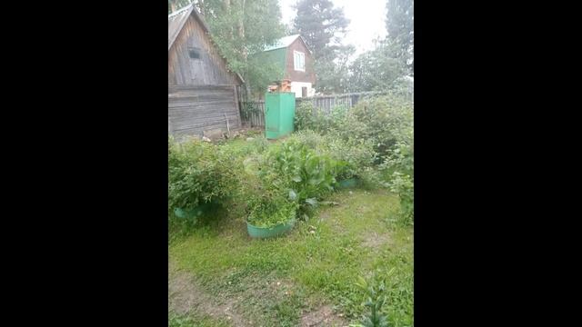 10681215 смотреть онлайн