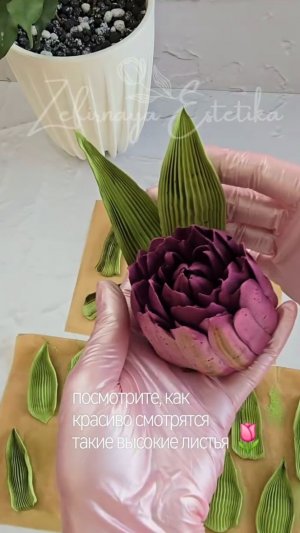 Отсадка листьев для тюльпанов🌷