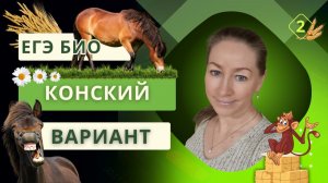 Конский вариант. Часть 2