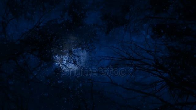 ЛУНА ЗАСТЫВШАЯ ВЕСИТ