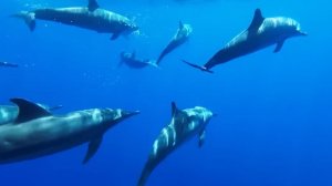 Сборник красивых мелодий. Инструментальная музыка