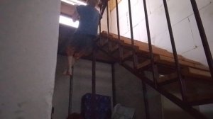 задаёт мне задачи