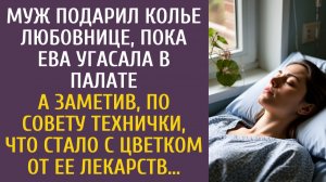 Истории из жизни: Муж подарил колье любовнице, пока Ева угасала… А заметив, что стало с цветком…
