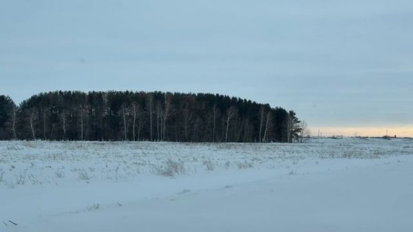 🎼. «Nevermore» -Denis Stelmakh