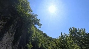 Коровы. Дорога. Лето. Природа. Не быстрая прогулка на велосипеде с подругами...