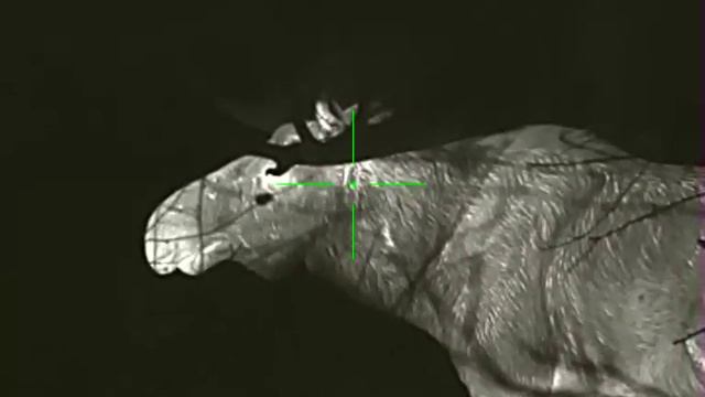 Лось смотреть онлайн