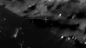 Holosun DRS-TH. 2026.01.03 Заяц