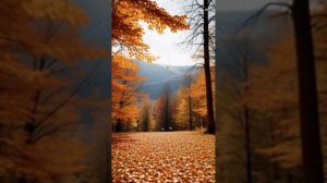 Золотая осень!.mp4