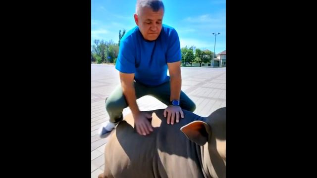 ГОНИ ДОРОГОЙ смотреть онлайн