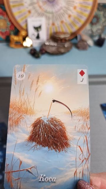 02-02-2026 Карта дня смотреть онлайн