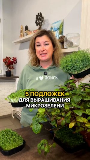 На чем вырастить микрозелень? 5 ПОДЛОЖЕК!