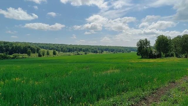 Stop and look around at the beauty that surrounds you. смотреть онлайн