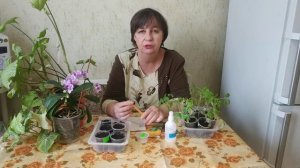 Посев болгарского перца на рассаду от А до Я.