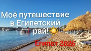 Зимний отдых в Египте 2026 январь, Шарм-эль-Шейх!🌊🌴☀️