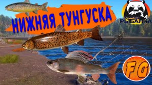 Нижняя Тунгуска. Спининг. Хариус. Форель. Ленок. Русская Рыбалка 4. рр4. Russian Fishing 4