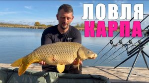 Как поймать карпа на соревнованиях. Карпфишинг 2026