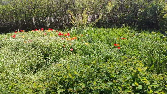 Один из дней города Евпатории | 22 апреля 2021 г | Крым | ХАН БАТОН XAH 6ATOH | VID_20210422_135258 смотреть онлайн