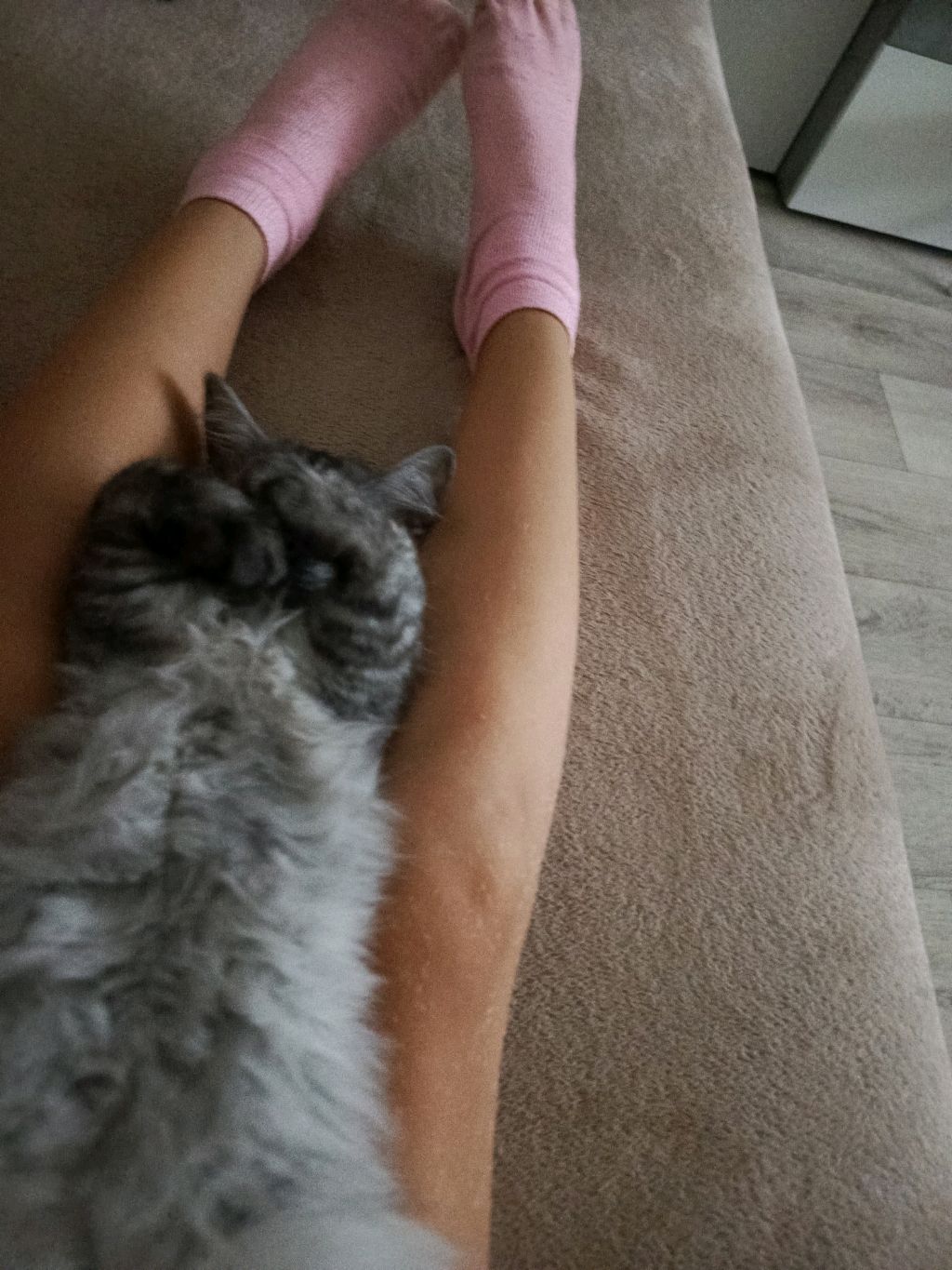 привет смотреть онлайн