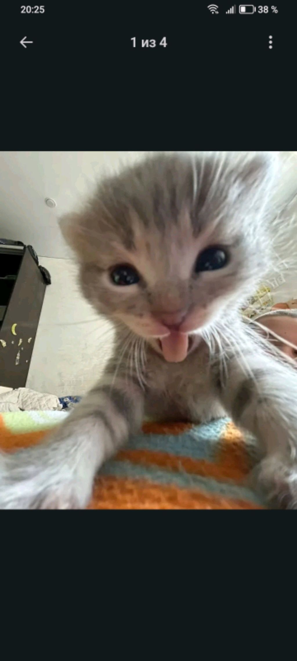 укради бреенрот сорри за подчкерк