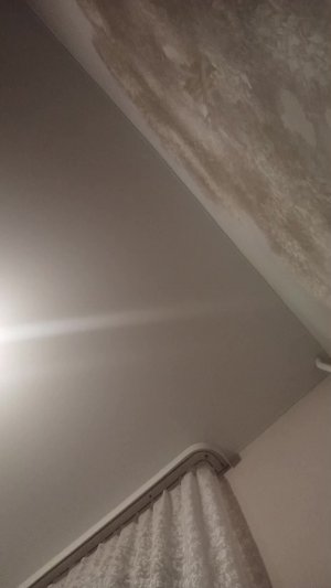 про 14 февраля