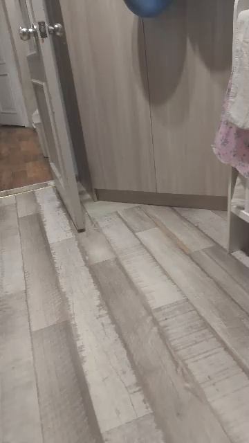 кот смотреть онлайн