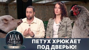 Дела судебные с Еленой Кутьиной. Новые истории. Эфир от 28.10.24