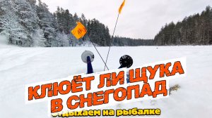 Отдыхаем на рыбалке. Ловля щуки на жерлицы в снегопад.