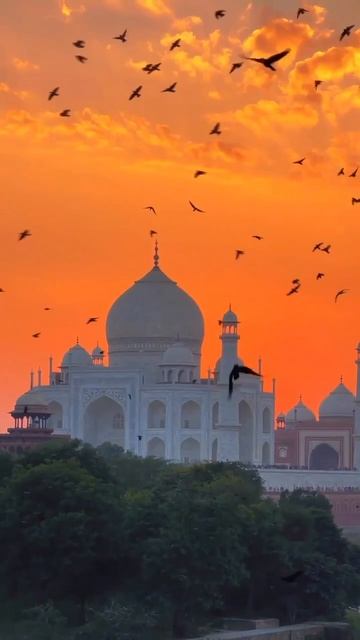 Яркая Индия с нами