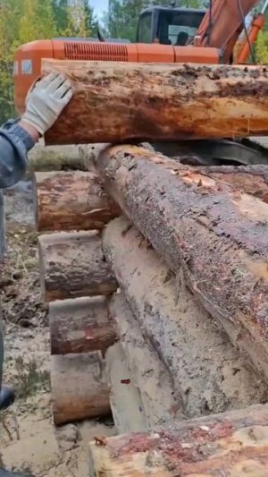 Работа началась!Строительство моста через лесную реку!