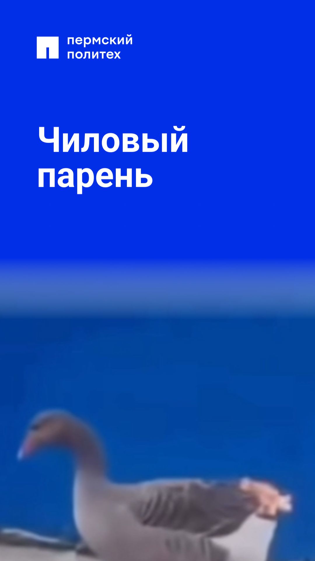 Мне бы его нервы смотреть онлайн