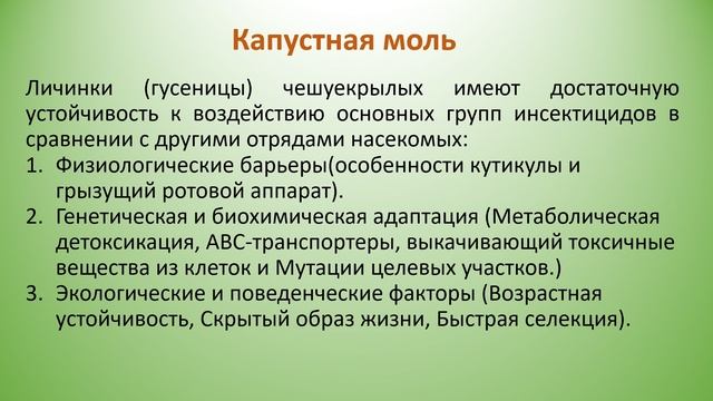 Капустная моль. Методы борьбы. смотреть онлайн
