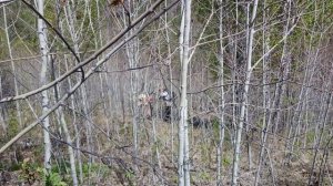 Эндуро Ангарск. Козий двор.